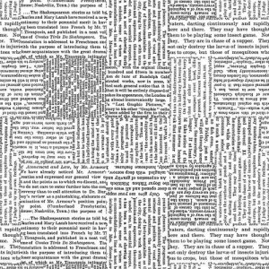Ткань Black Tie 2 Newspaper 108" Wideback Blank Quilting