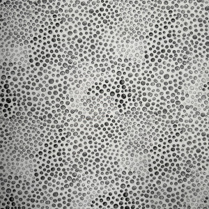 Ткань Rainbow Droplets 108" Wideback Blank Quilting