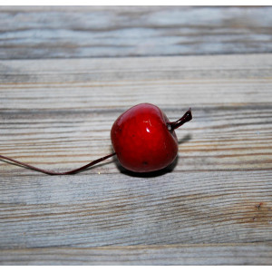 Яблоко гладкое на проволоке цвет Красный размер 11 см