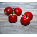 Яблоко цвет Красный размер 2,5 см