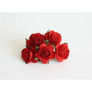 Букет Роз midi цвет Красные размер 2,5 см