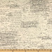 Ткань CX4521 BLAC D Old Script от Michael Miller